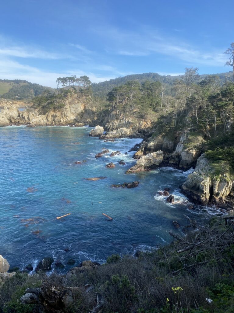 An ocean cove at Point Lobos State Natural Reserve with a rocky shoreline covered in brush.