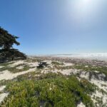 Photo of Carpinteria State Beach