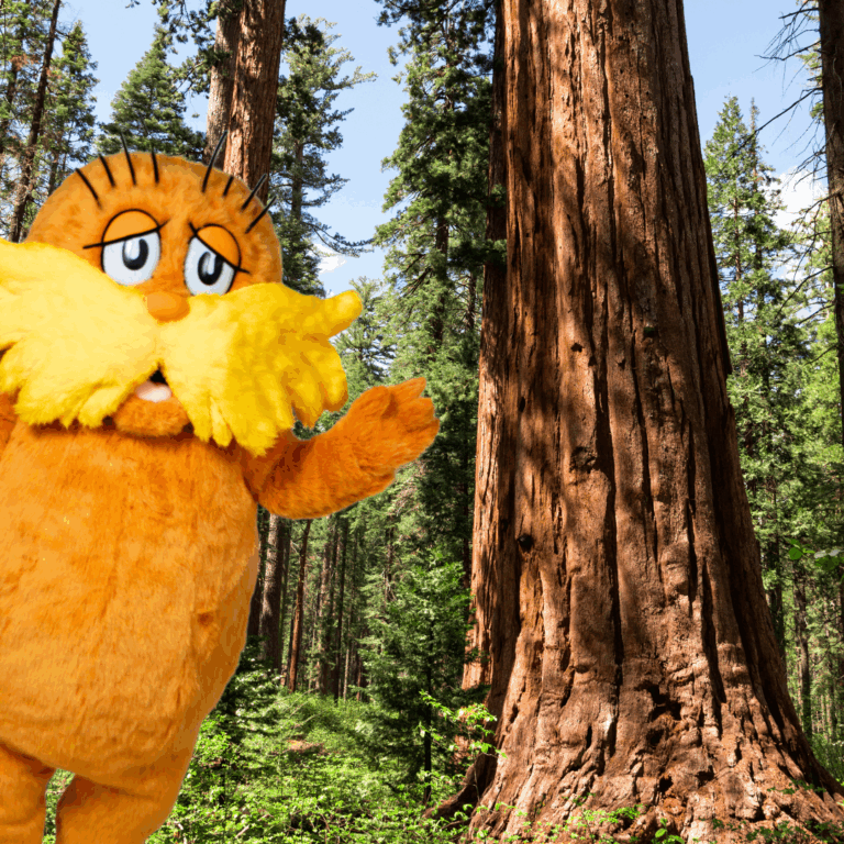 Lorax