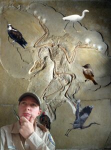 park interpreter in a pensive state surrounded by raptor birds in the background on a stone wall